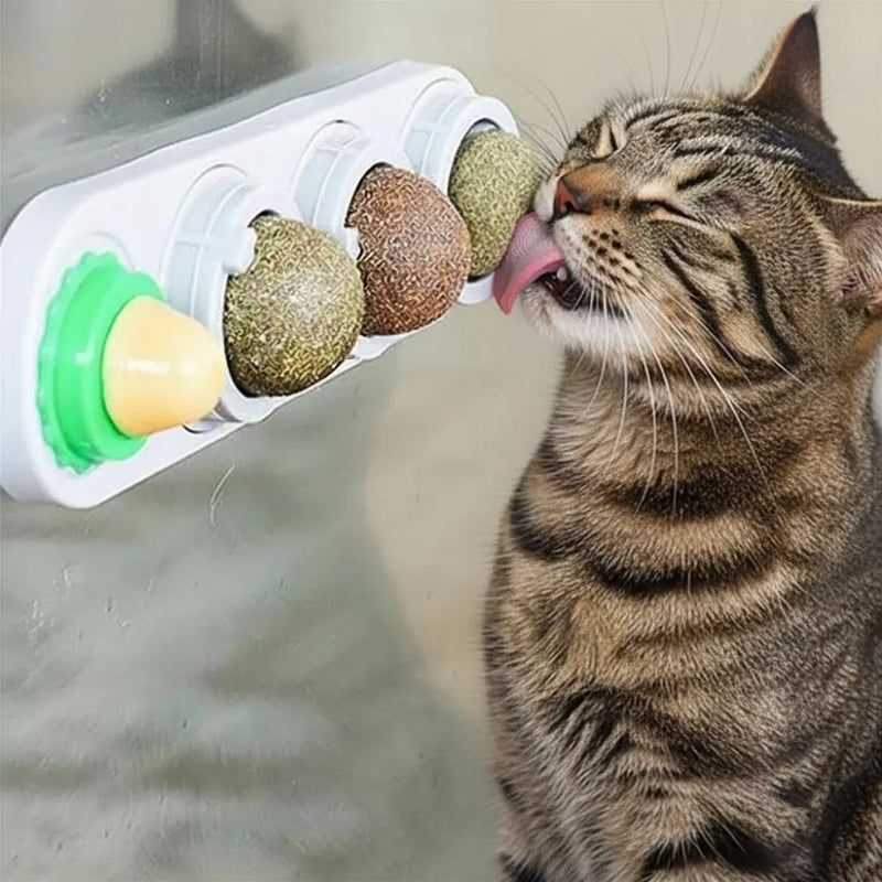 Crazy-Catnip CATNADA