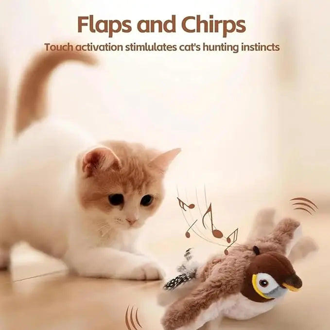 Electric Chirping Bird Cat Toy Willam Jiang-1 Store