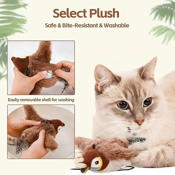 Electric Chirping Bird Cat Toy Willam Jiang-1 Store