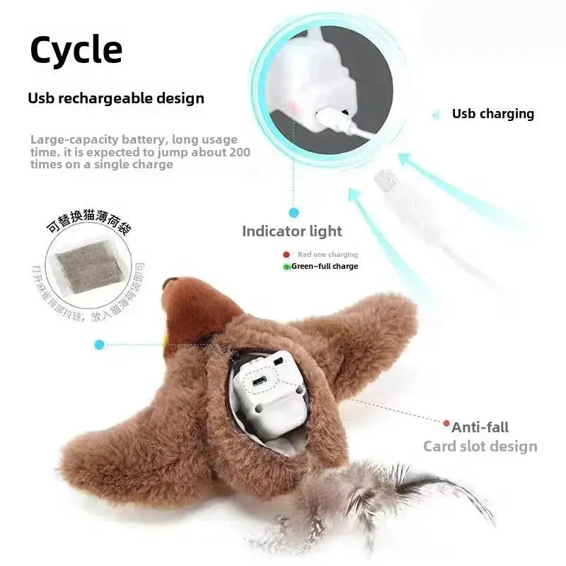 Electric Chirping Bird Cat Toy Willam Jiang-1 Store