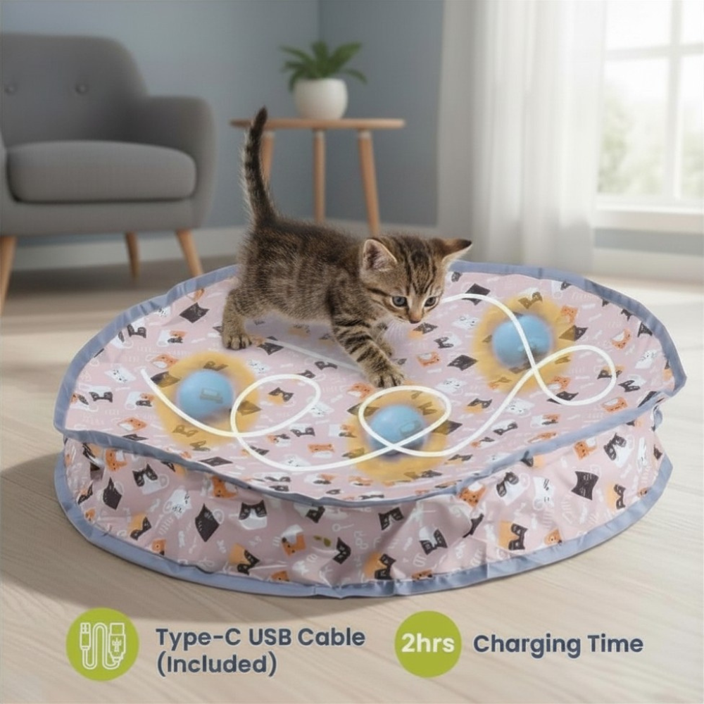"Endless Fun for Active Cats