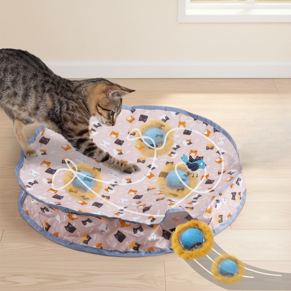 "Endless Fun for Active Cats