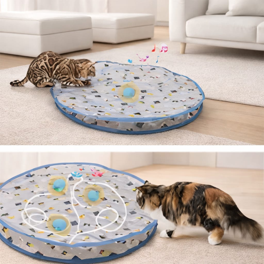 "Endless Fun for Active Cats