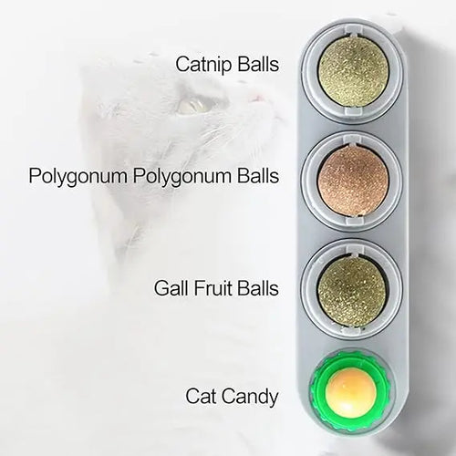 4-in-1 Natural Catnip Wall Toy PEYKAR