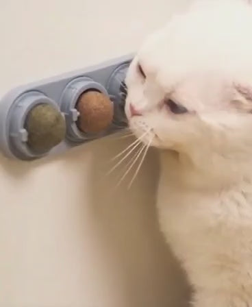 4-in-1 Natural Catnip Wall Toy