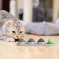 4-in-1 Natural Catnip Wall Toy PEYKAR