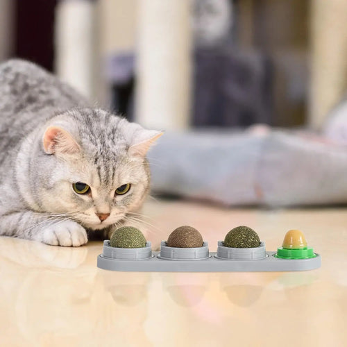 4-in-1 Natural Catnip Wall Toy PEYKAR